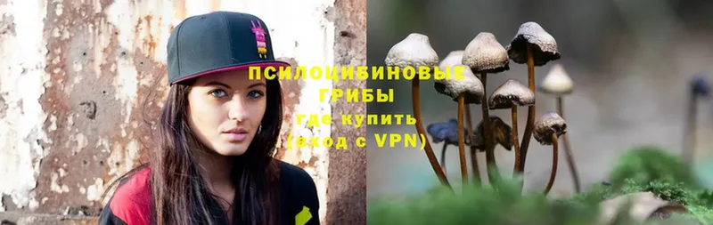 Галлюциногенные грибы MAGIC MUSHROOMS  Воронеж 